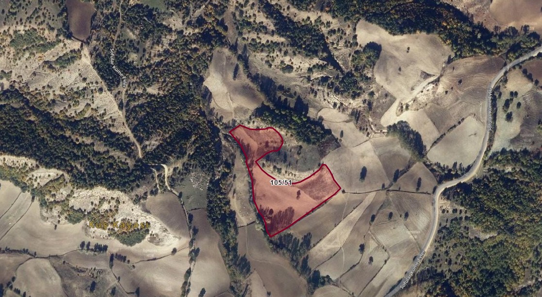 TOKAT ZİLE SOFULAR KÖYÜMÜZDE 15.742M² TARLAMIZ SATILIKTIR.
